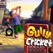 Gully Cricket